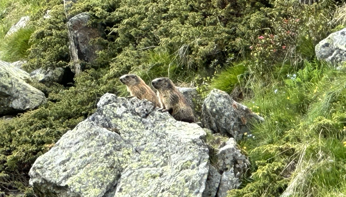 Spaltenbergung, Rutschversuche | © Ernst Konrad
