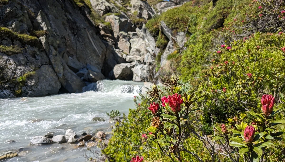 Fixseil, Höllenrachen, Abstieg, Heimreise | © Ernst Konrad
