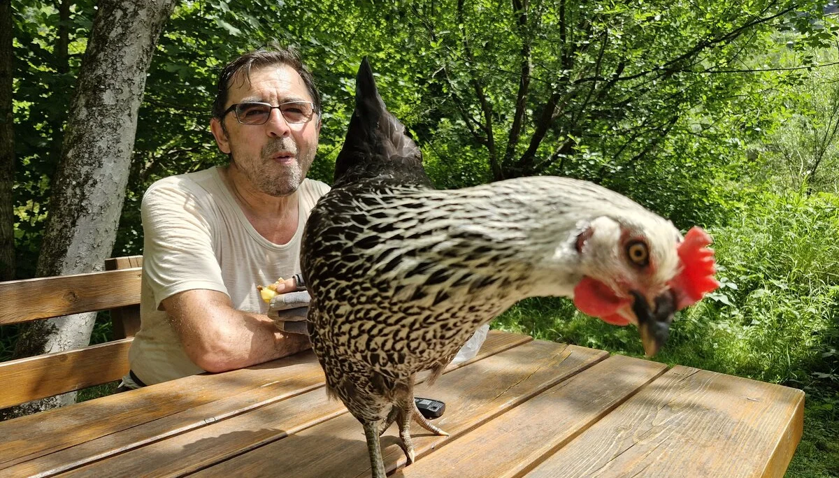 Klettersteigkurs 2024 | © Maier Georg