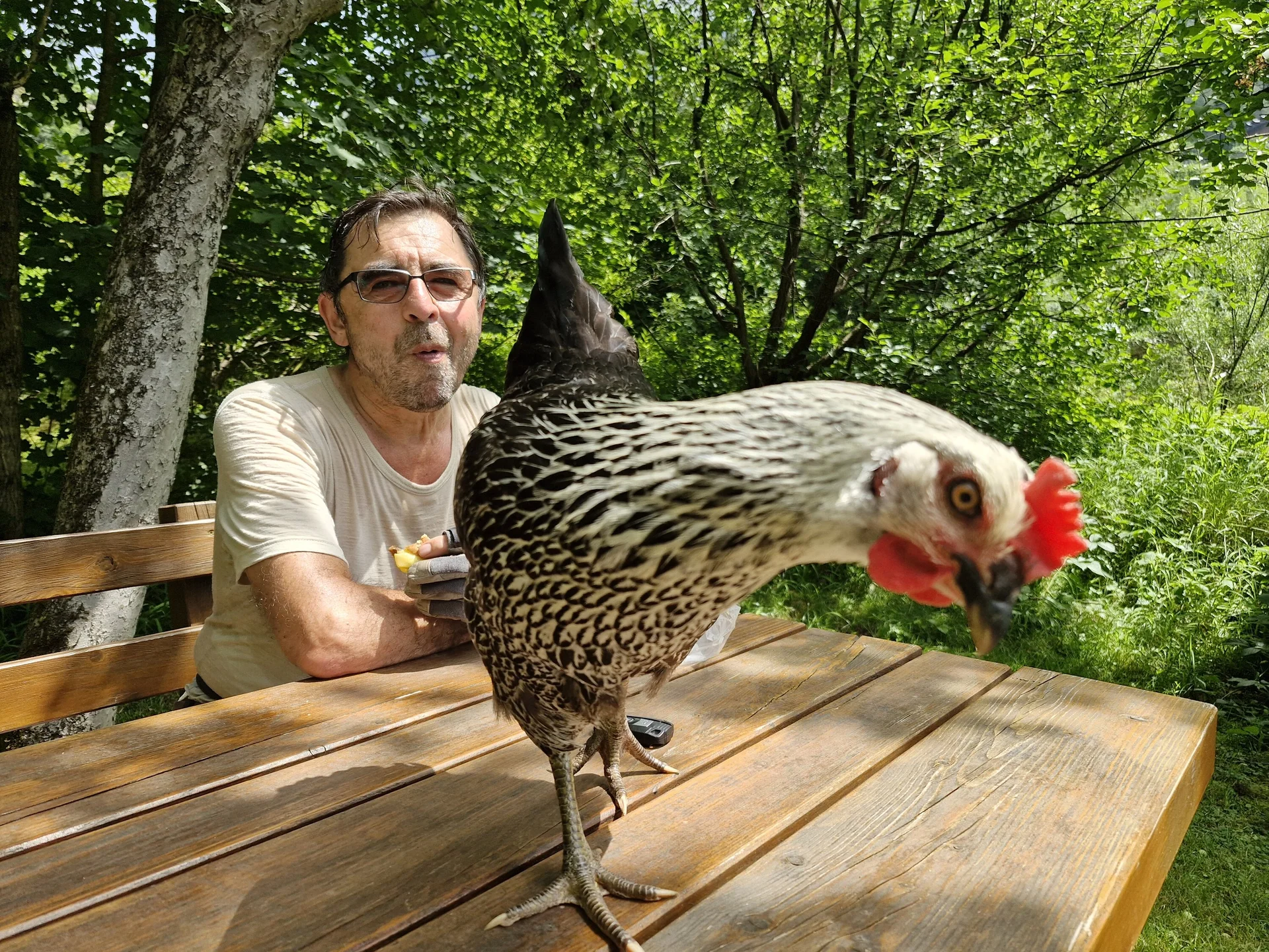 Klettersteigkurs 2024 | © Maier Georg