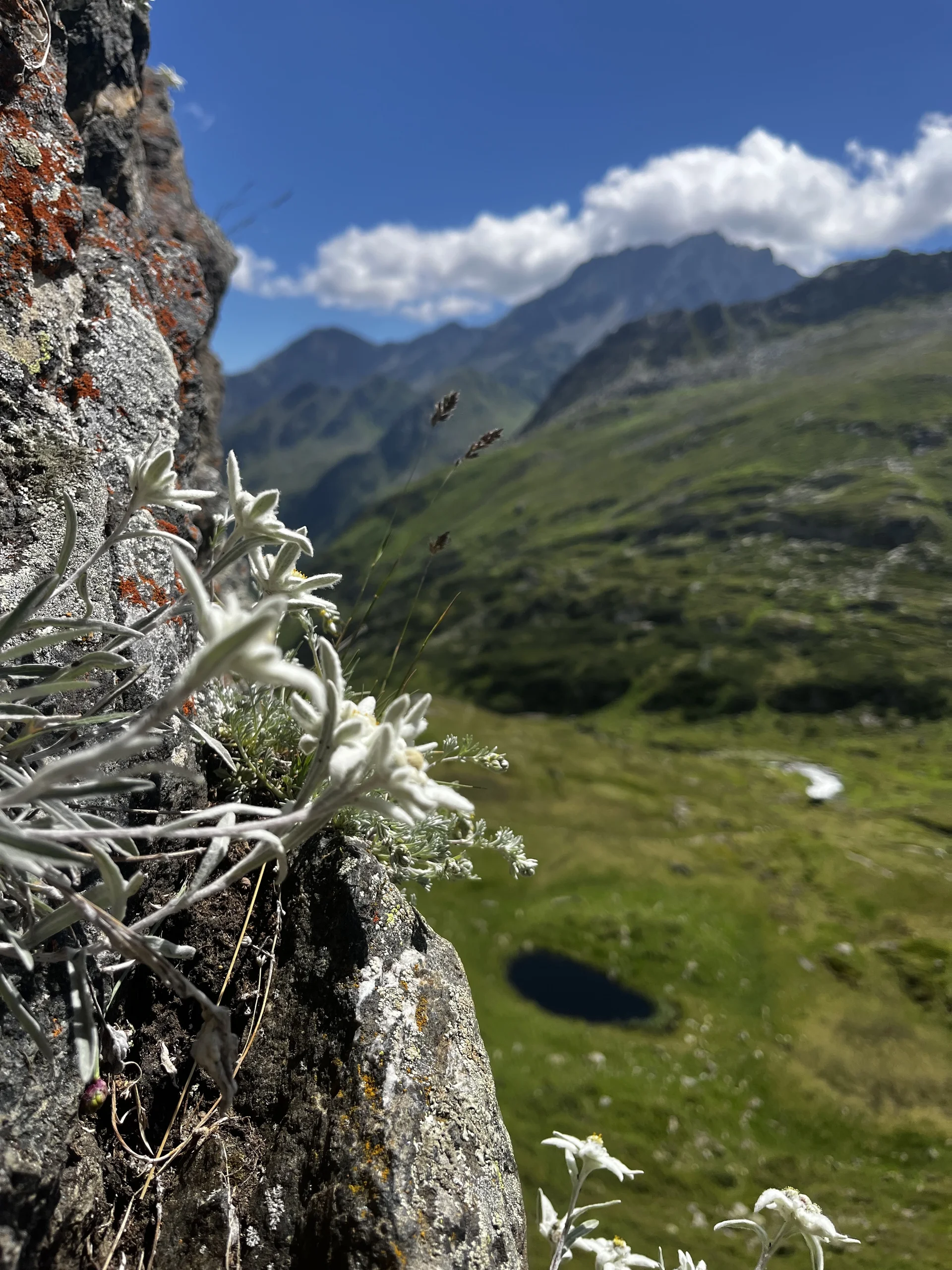 DAV Sektion Dingolfing auf Gletscherkurs im Stubaital | © Ernst Konrad