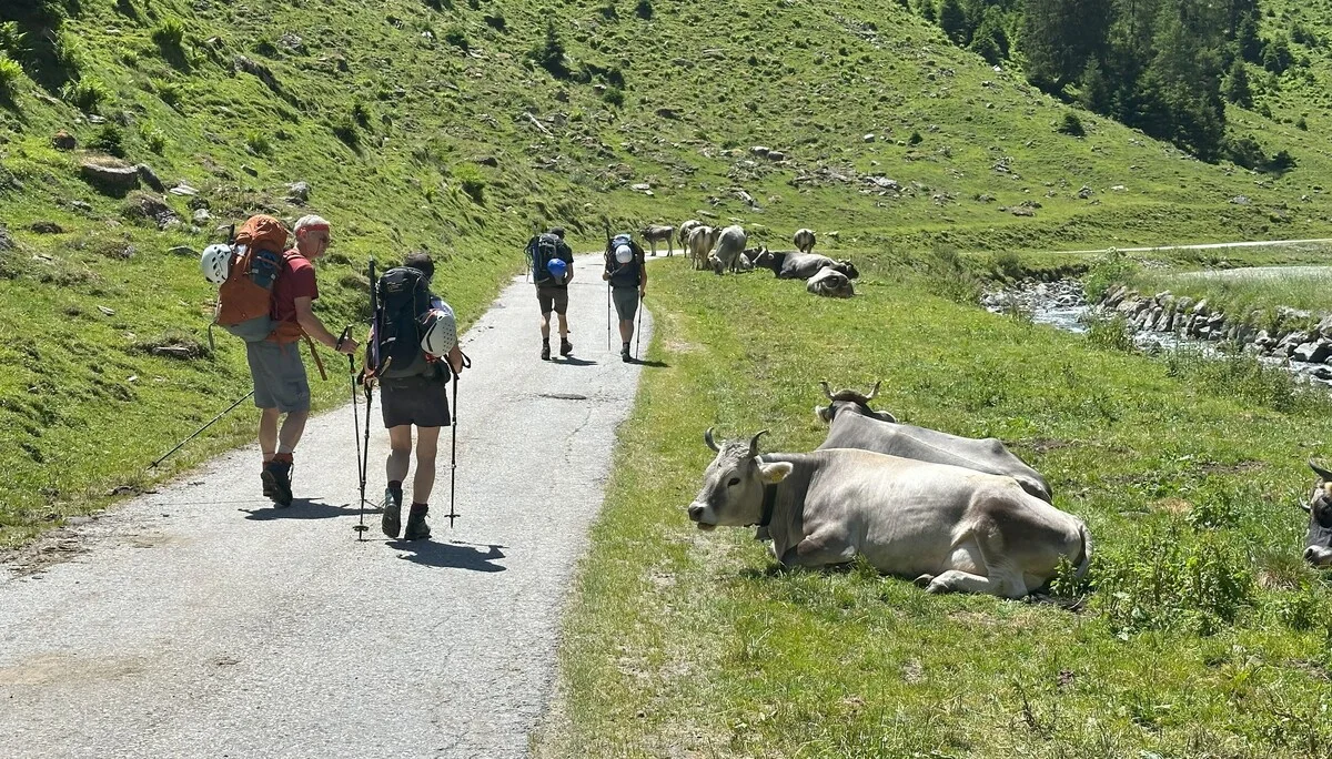 DAV Sektion Dingolfing auf Gletscherkurs im Stubaital | © Ernst Konrad