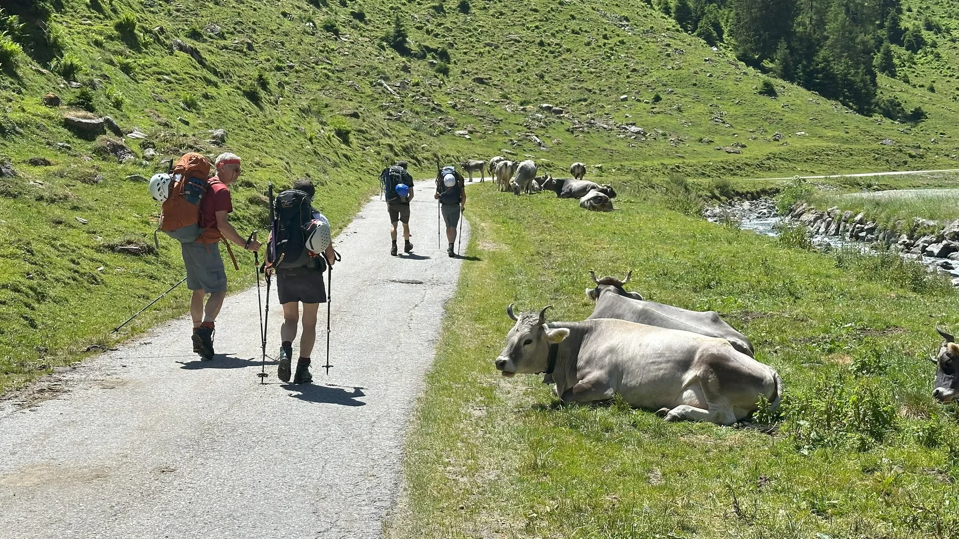 DAV Sektion Dingolfing auf Gletscherkurs im Stubaital | © Ernst Konrad