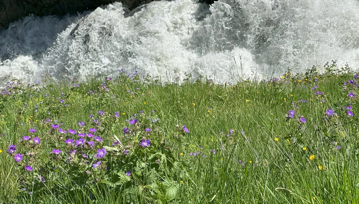 DAV Sektion Dingolfing auf Gletscherkurs im Stubaital | © Ernst Konrad