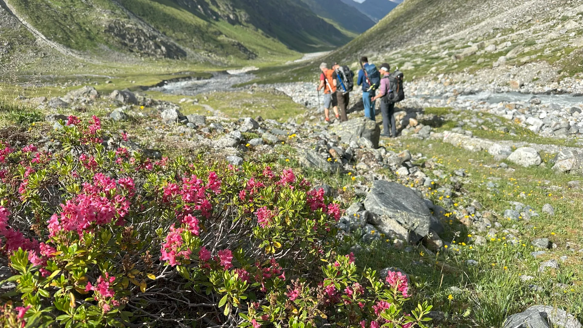 DAV Sektion Dingolfing auf Gletscherkurs im Stubaital | © Ernst Konrad
