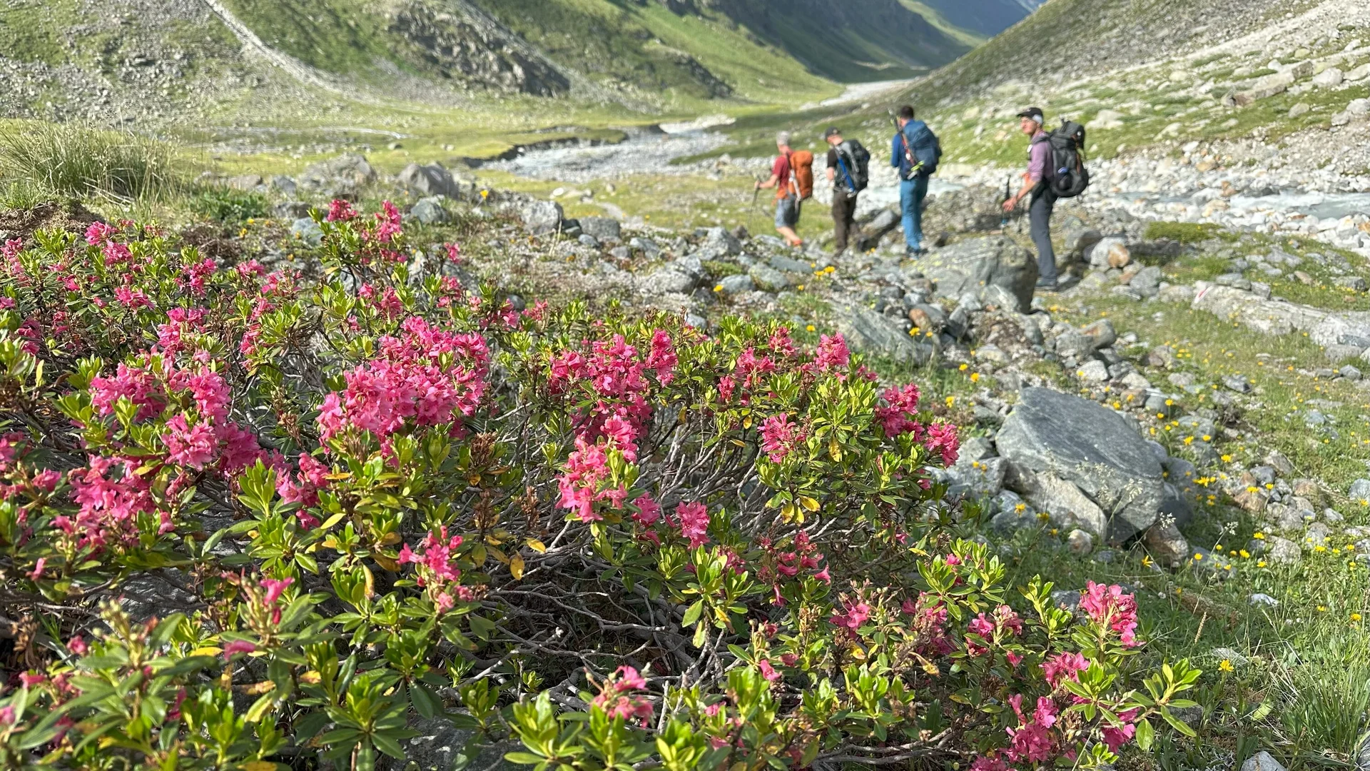 DAV Sektion Dingolfing auf Gletscherkurs im Stubaital | © Ernst Konrad