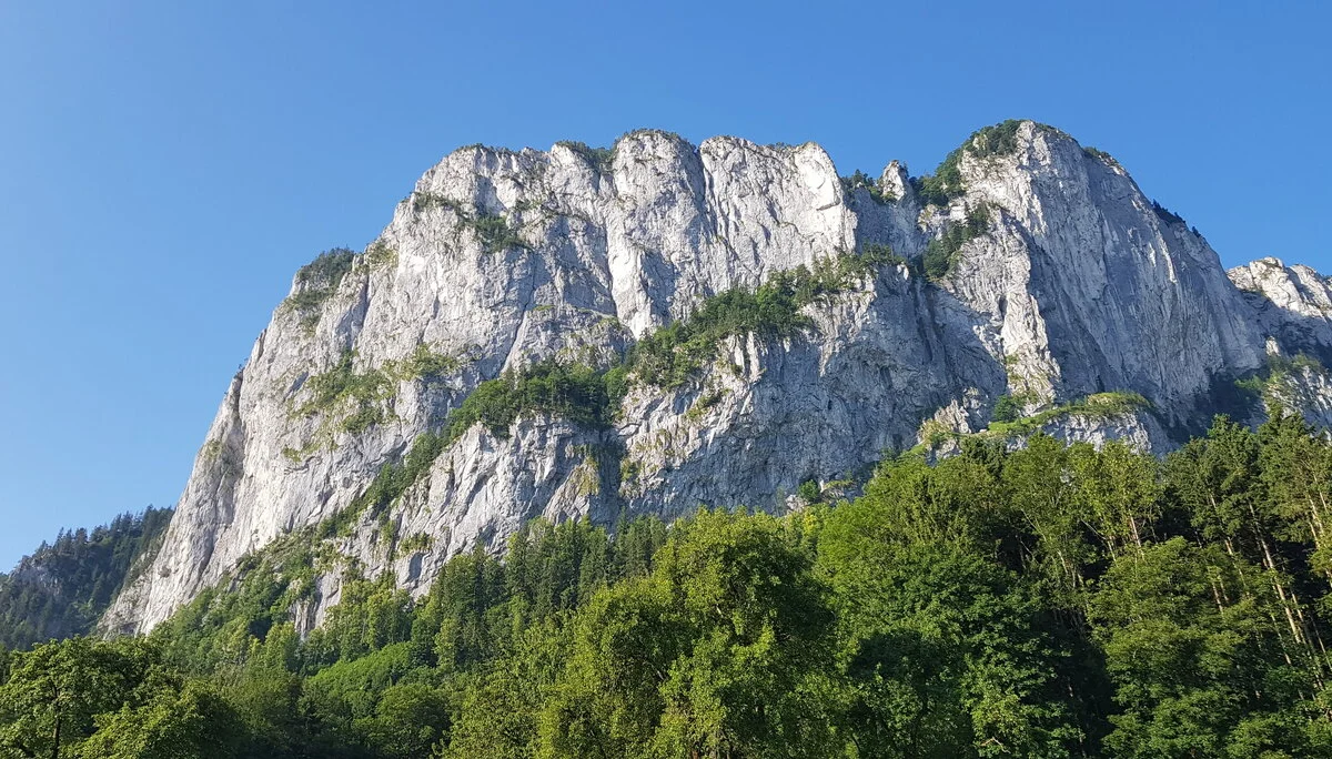 Klettersteigkurs 2025 | © Maier Georg