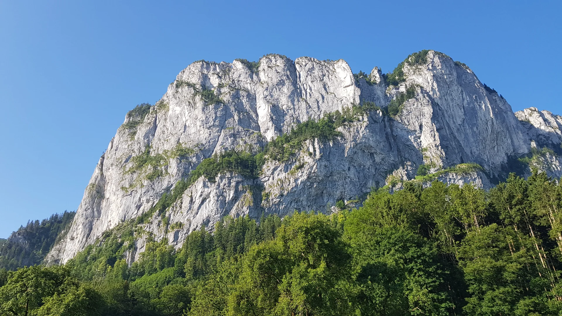 Klettersteigkurs 2025 | © Maier Georg