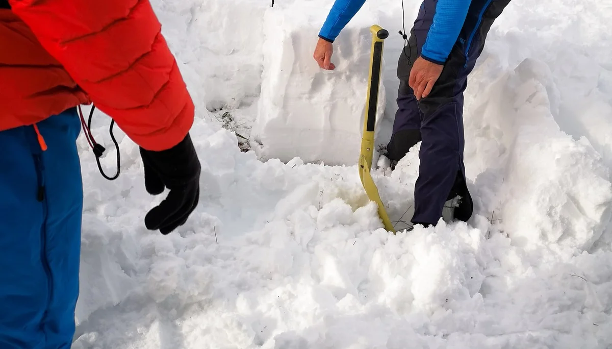 LVS Kurs | © Able Ludwig