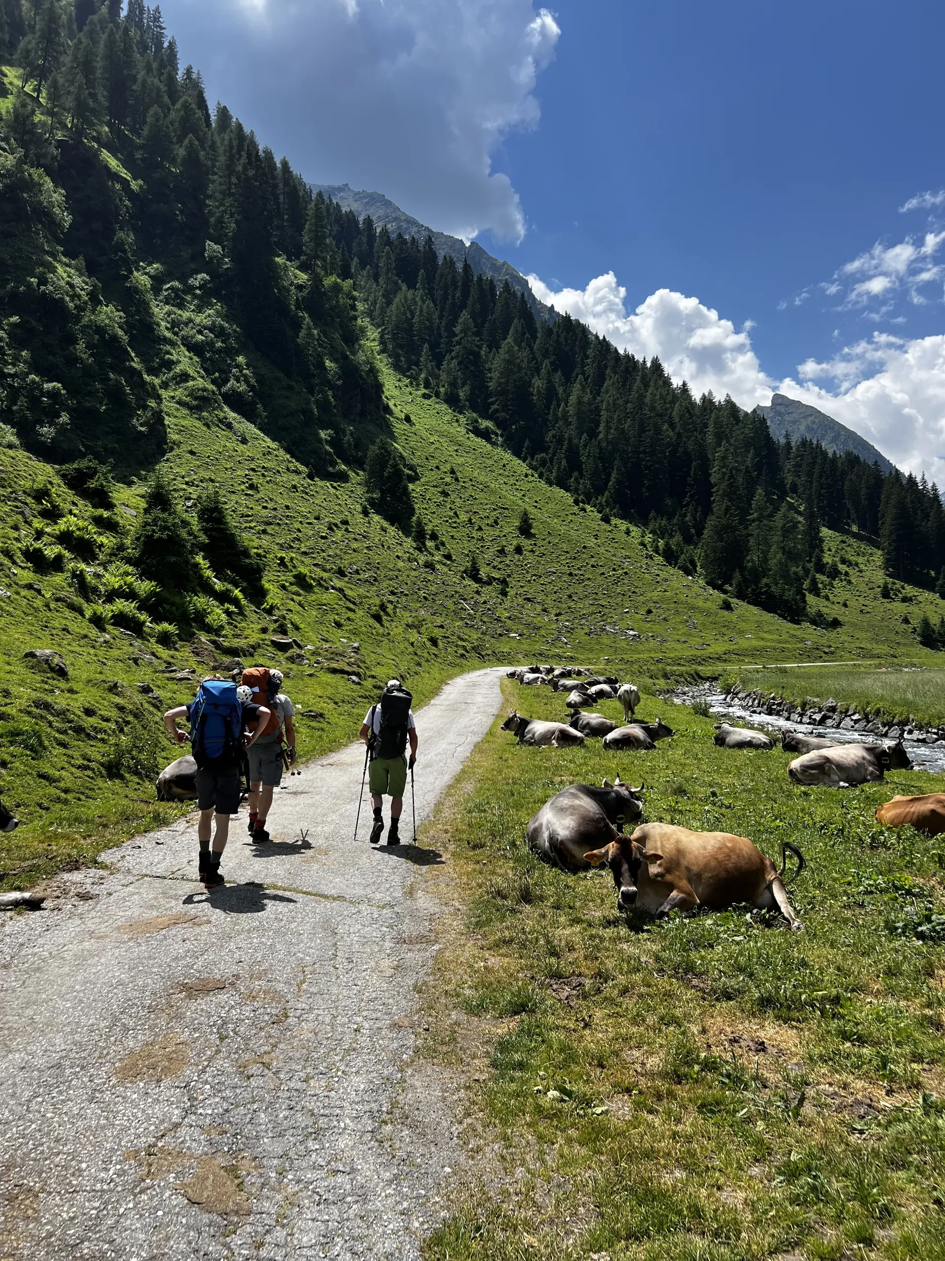 Gletscherkurs des DAV Dingolfing bei Kaiserwetter | © Ernst Konrad