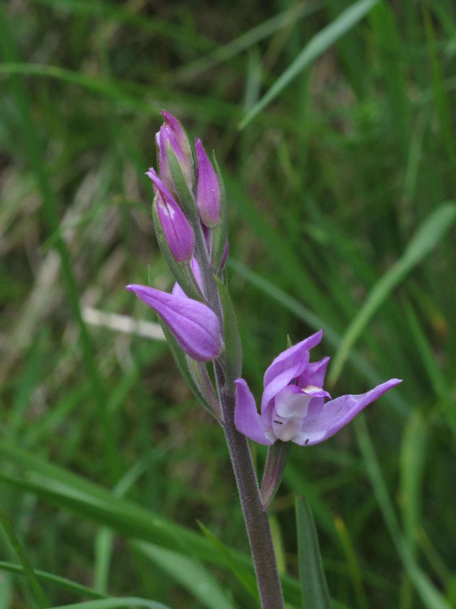 Heimgartenrunde | © Heimgartenrunde