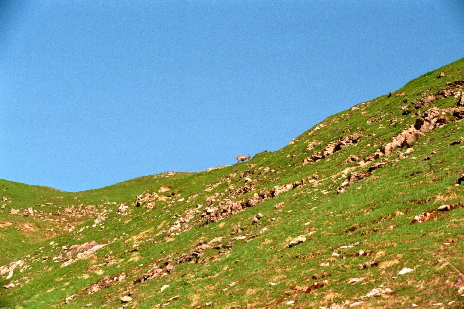 Mädelegabel | © Mädelegabel