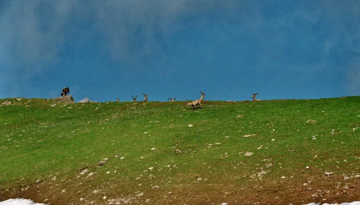 Mädelegabel | © Mädelegabel