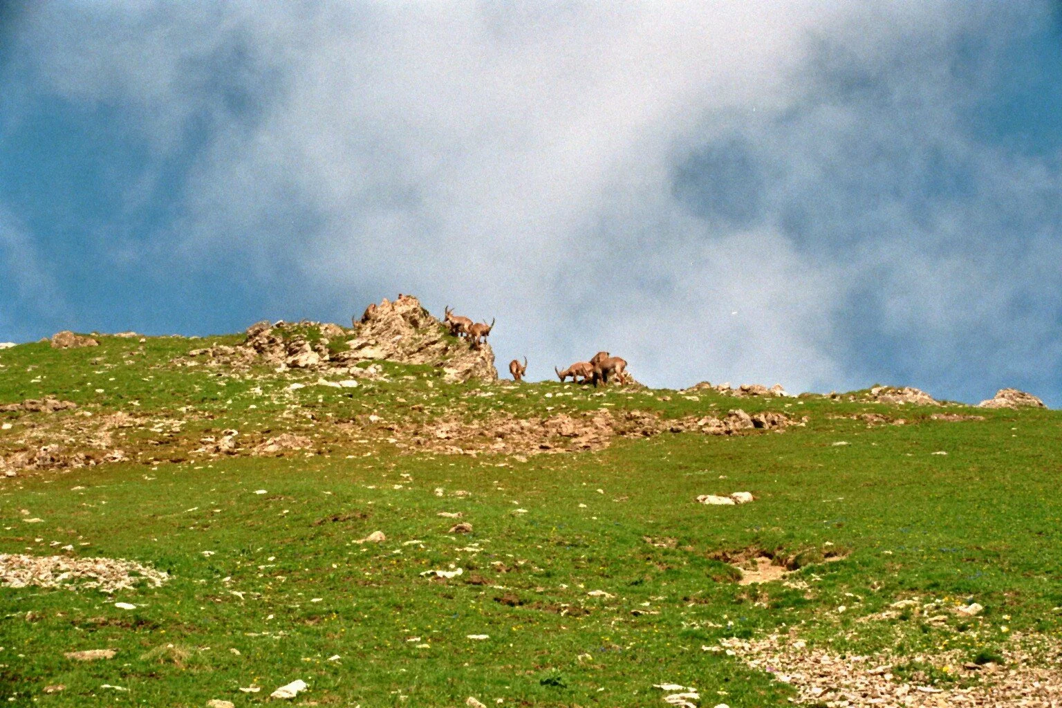 Mädelegabel | © Mädelegabel