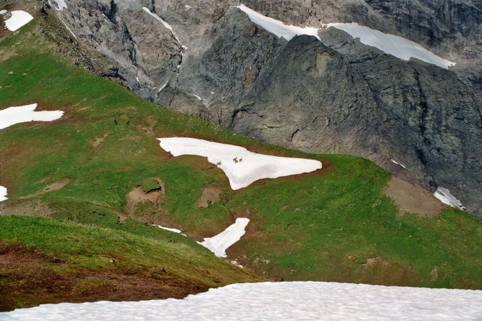 Mädelegabel | © Mädelegabel