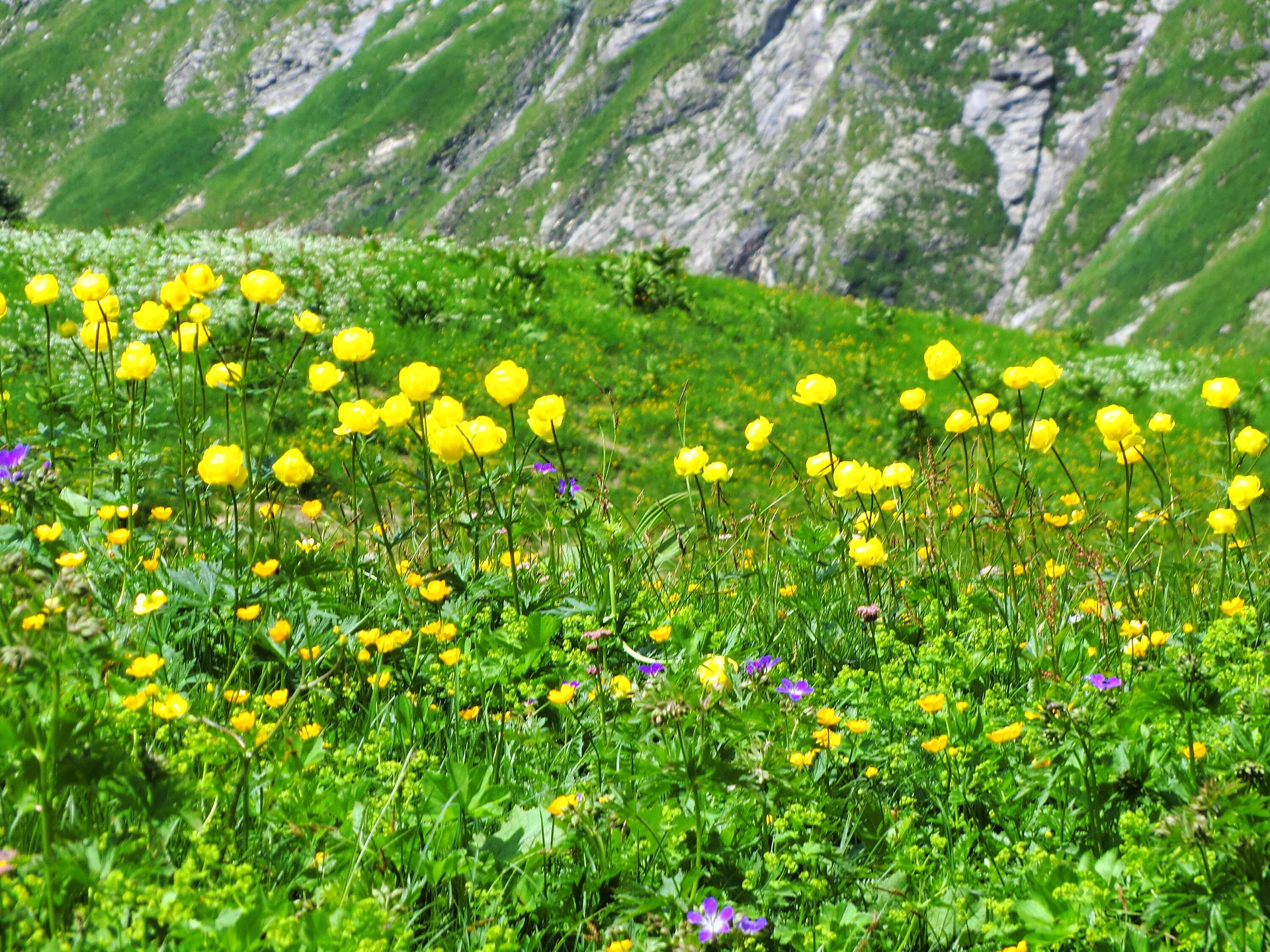 Mädelegabel | © Mädelegabel