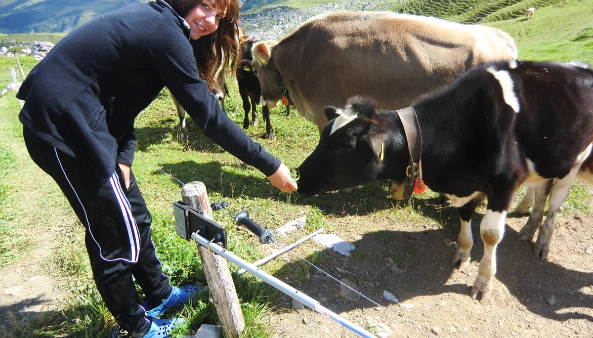 Montafon  | © Montafon 