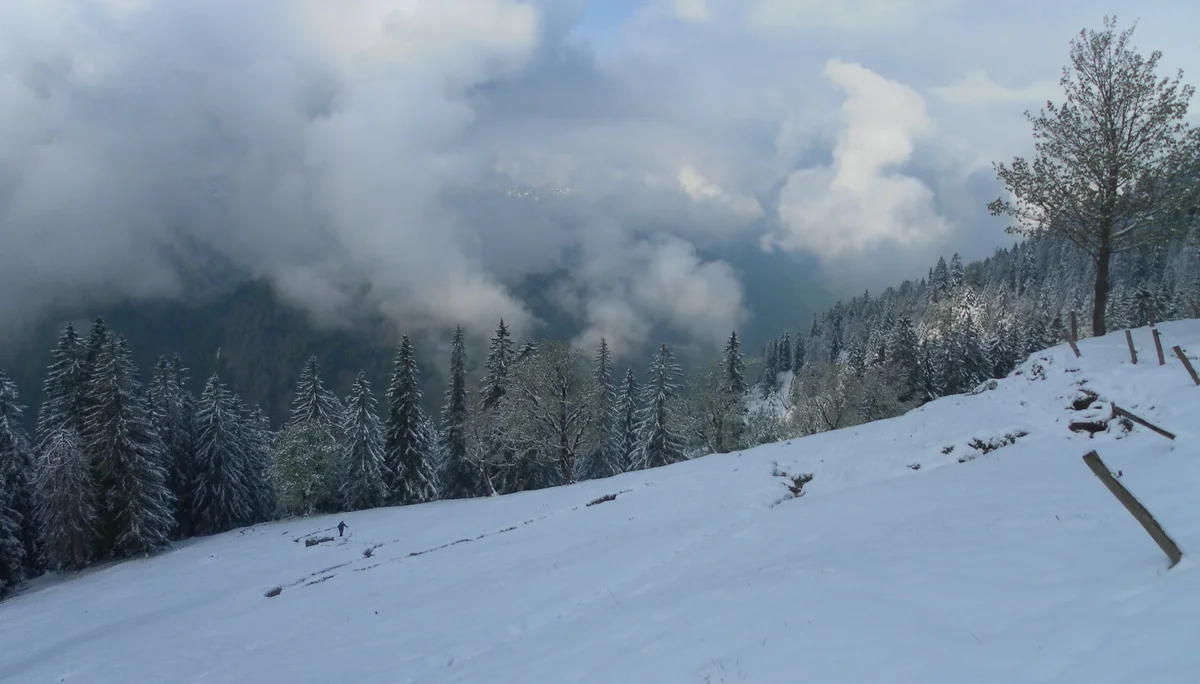 Risserkogel  | © Risserkogel 