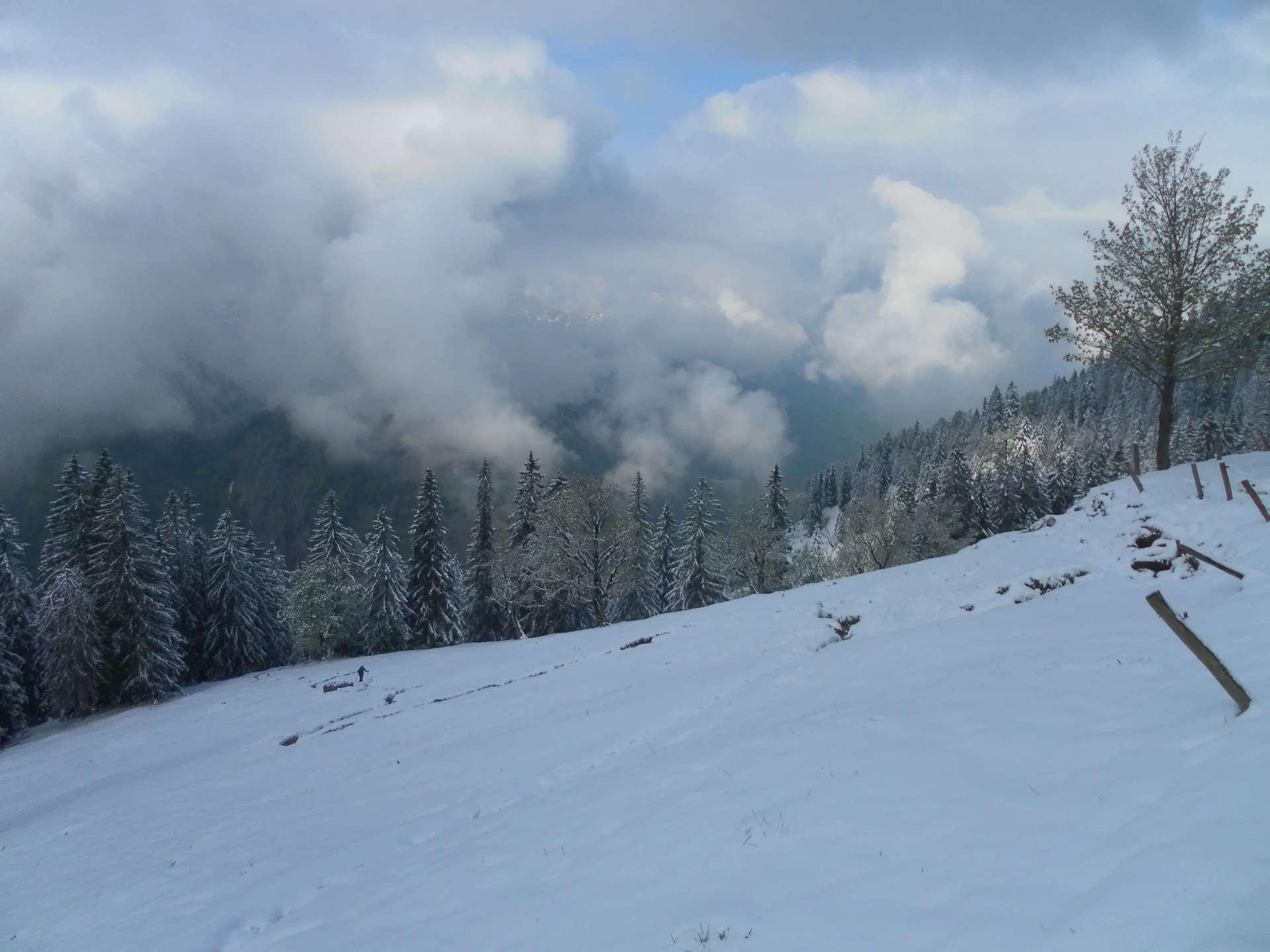 Risserkogel  | © Risserkogel 