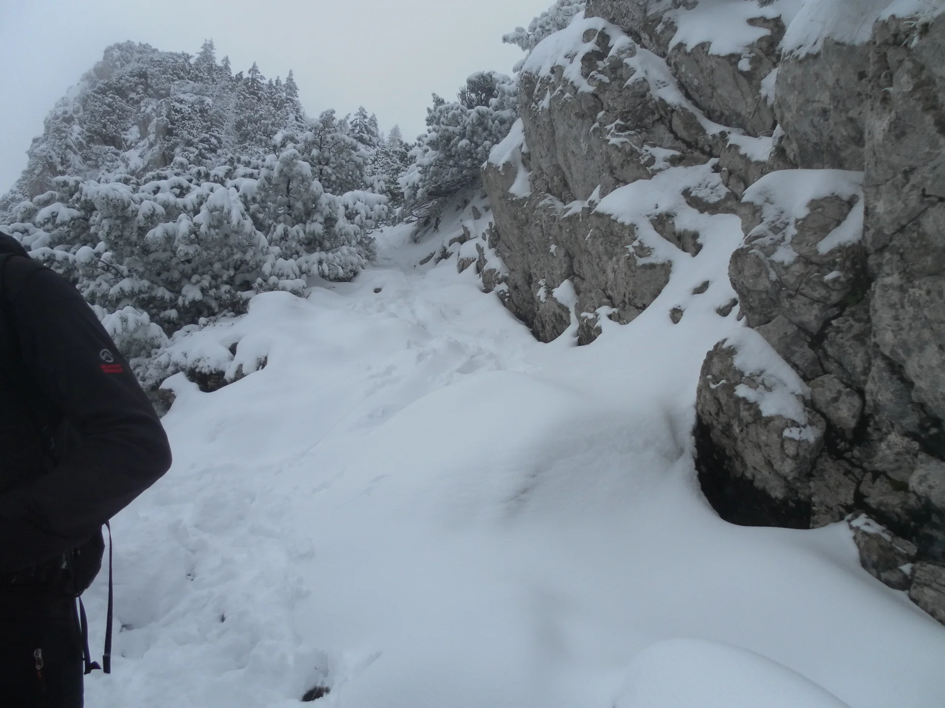 Risserkogel  | © Risserkogel 