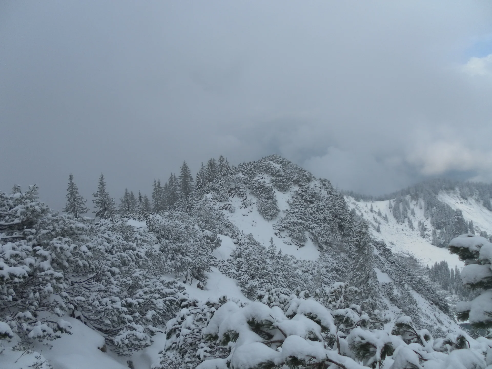 Risserkogel  | © Risserkogel 