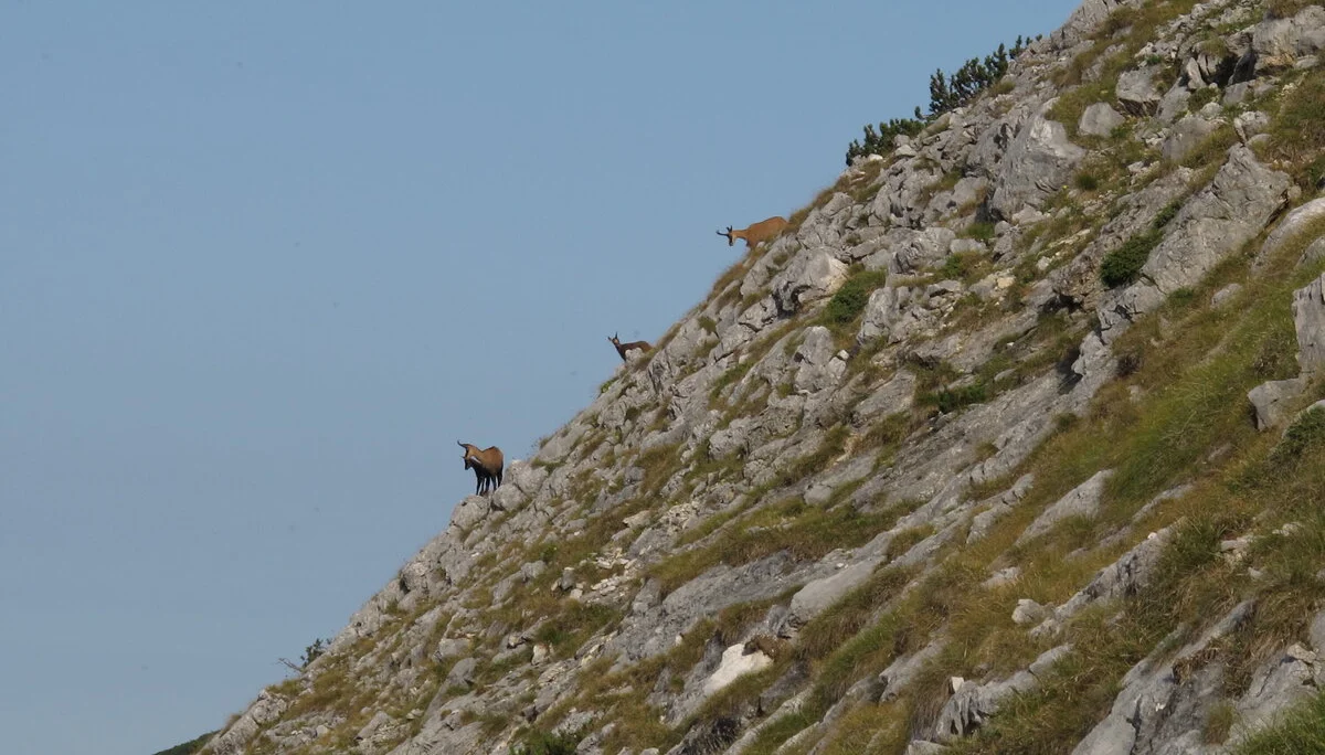 Staufengruppe | © Staufengruppe