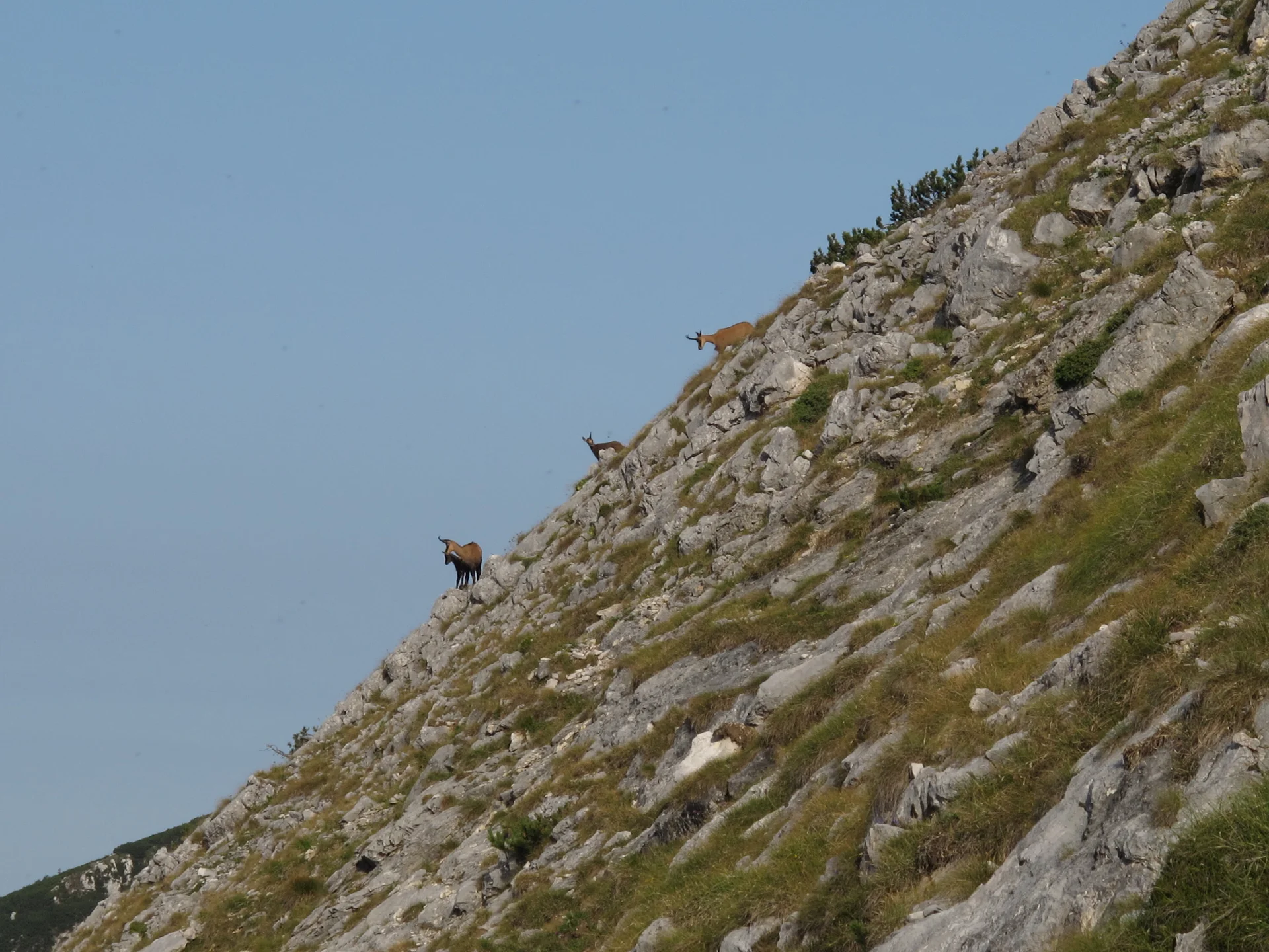 Staufengruppe | © Staufengruppe