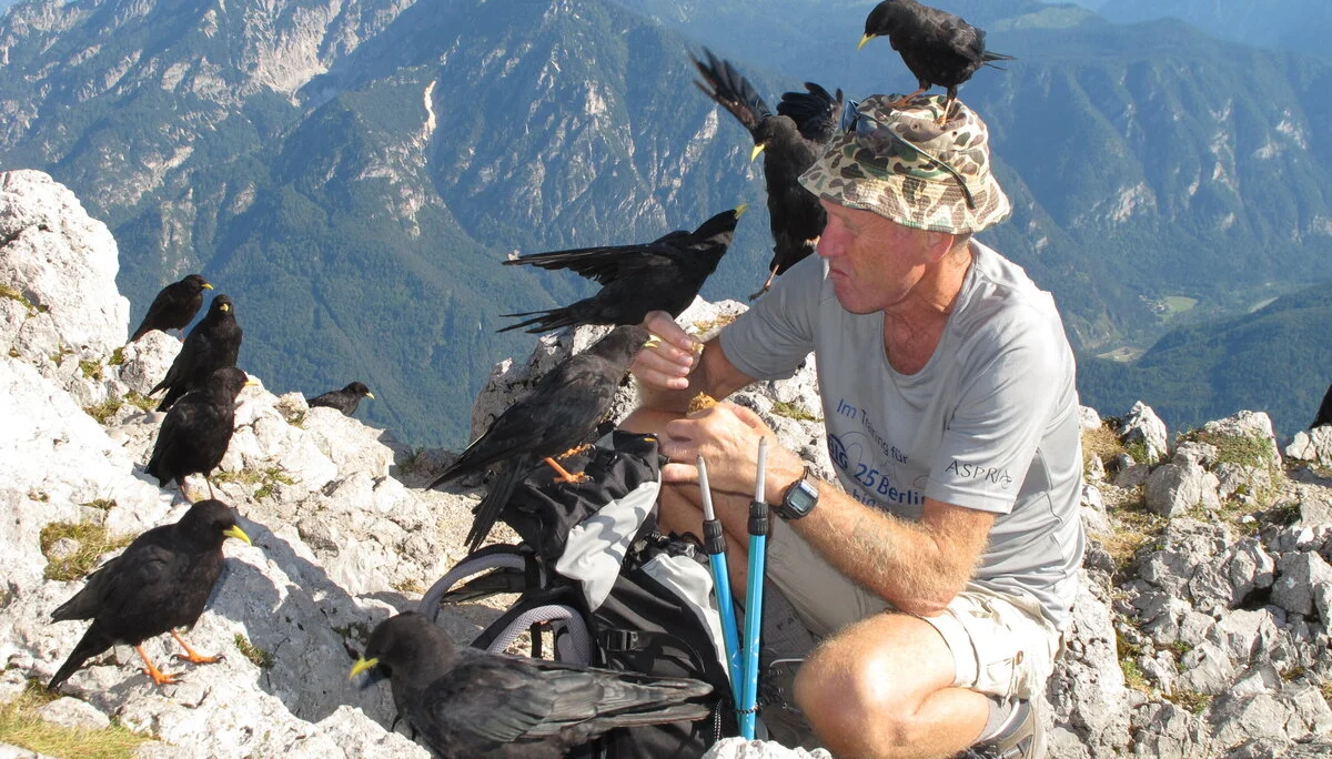 Staufengruppe | © Staufengruppe