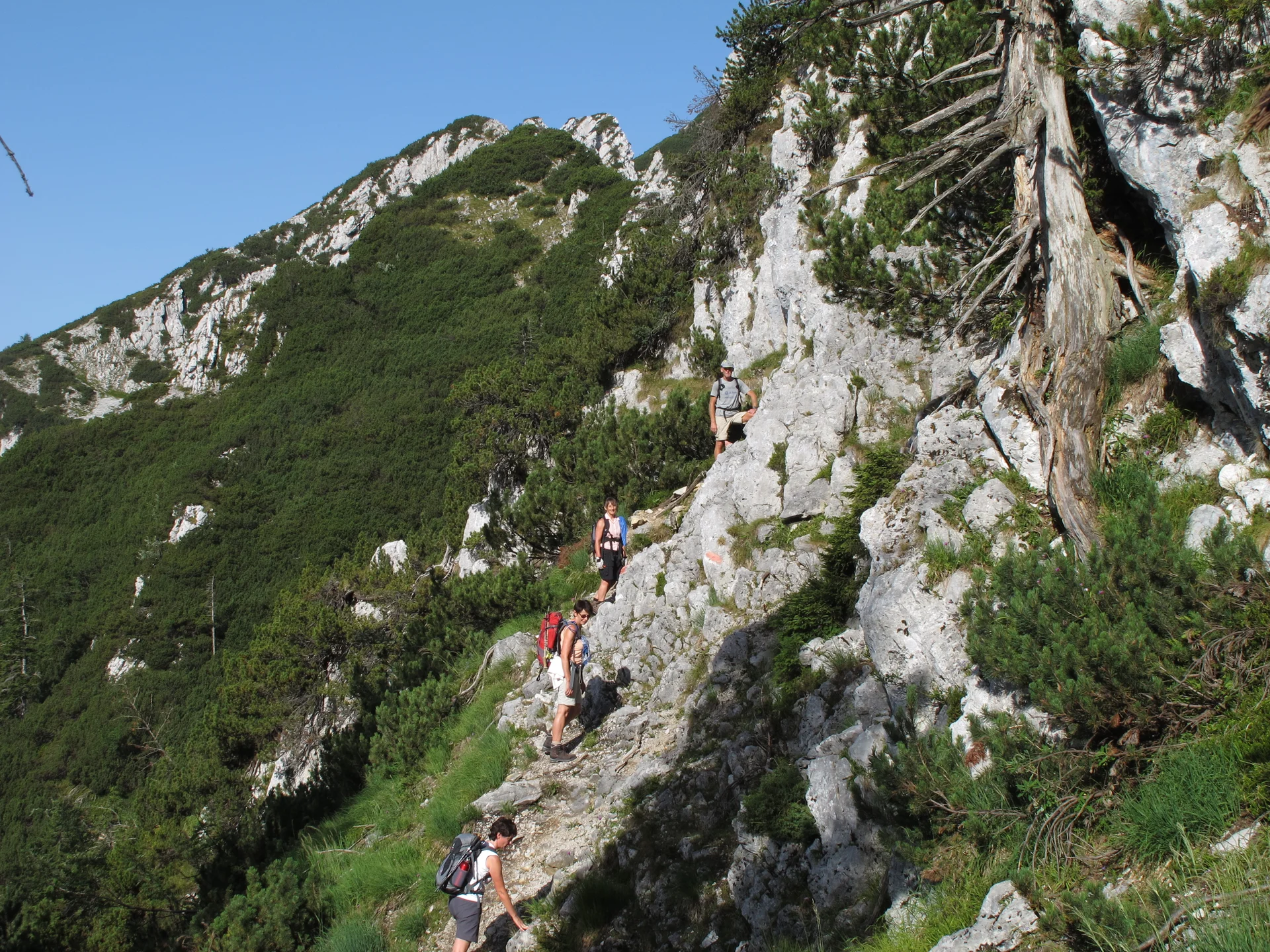 Staufengruppe | © Staufengruppe