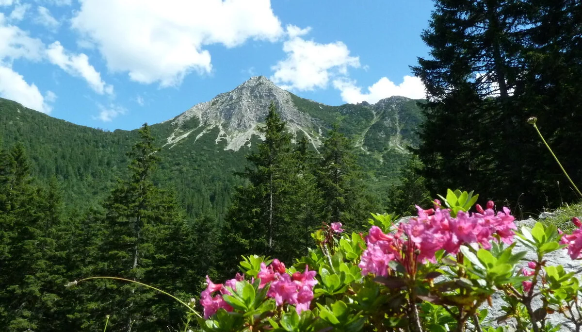 Aiplspitz | © Aiplspitz