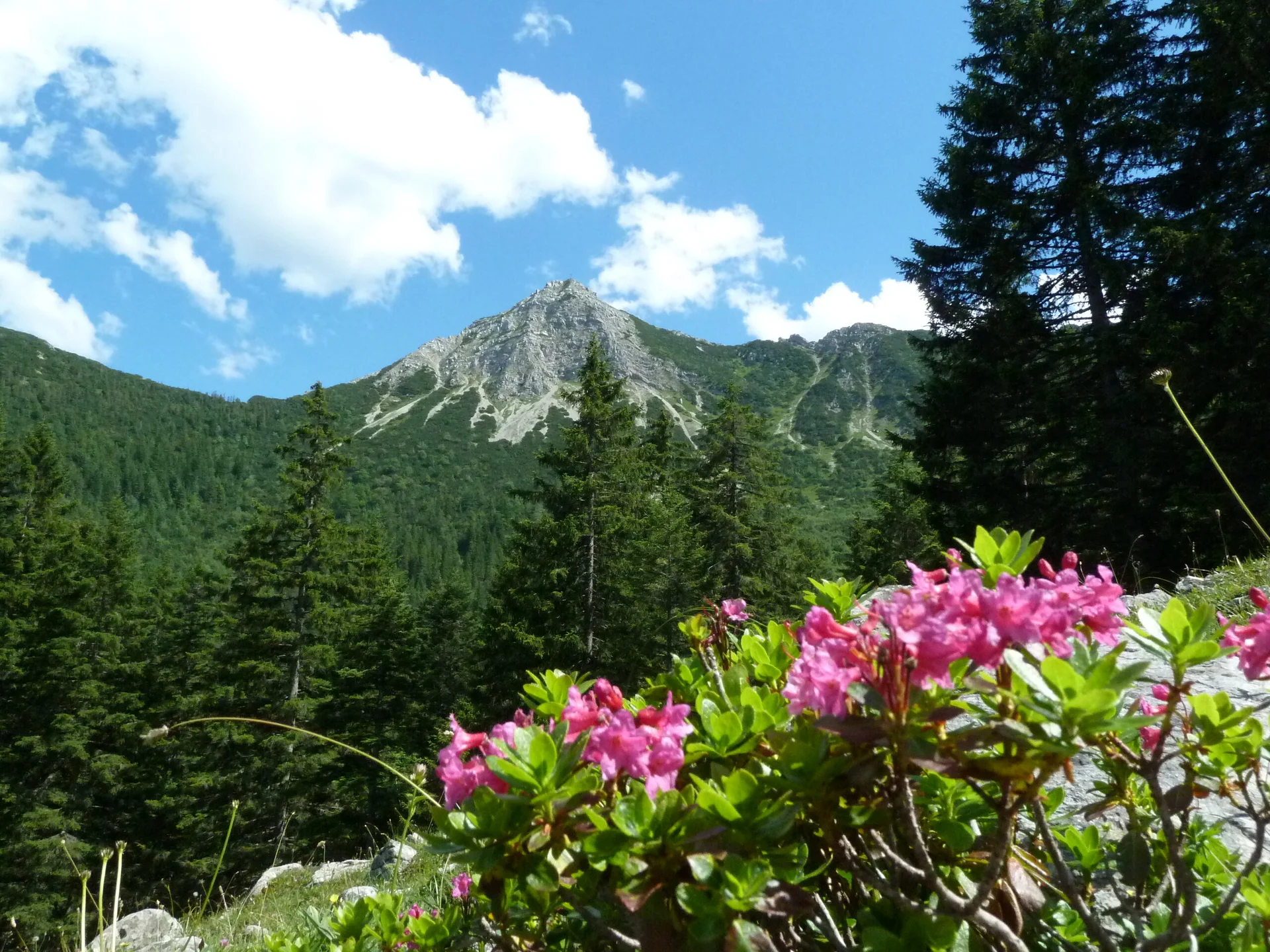 Aiplspitz | © Aiplspitz