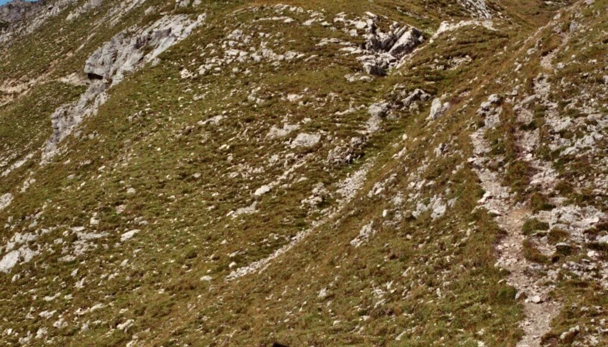 Kreuzspitze  | © Kreuzspitze 