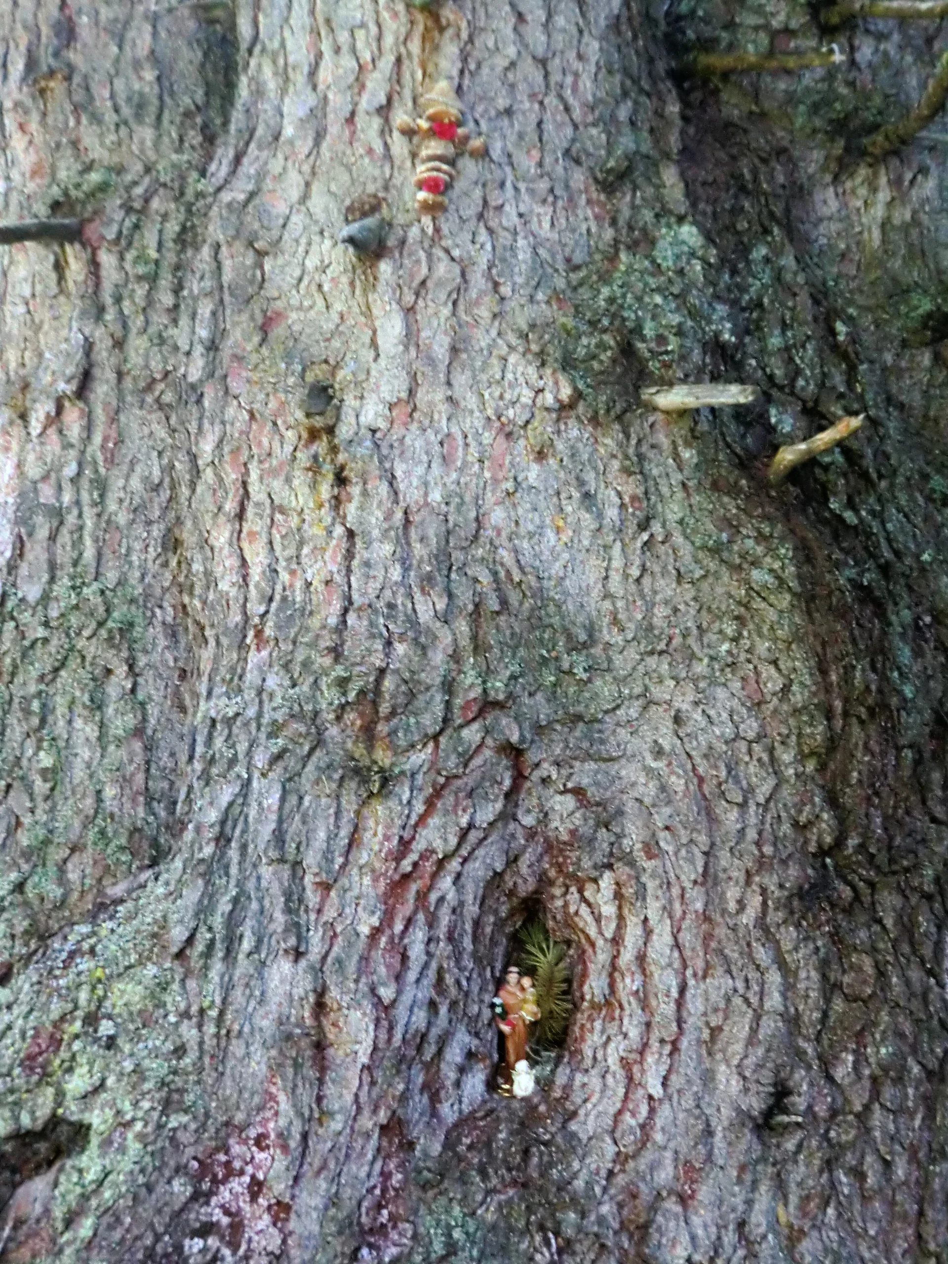 Pleisenspitze | © Pleisenspitze