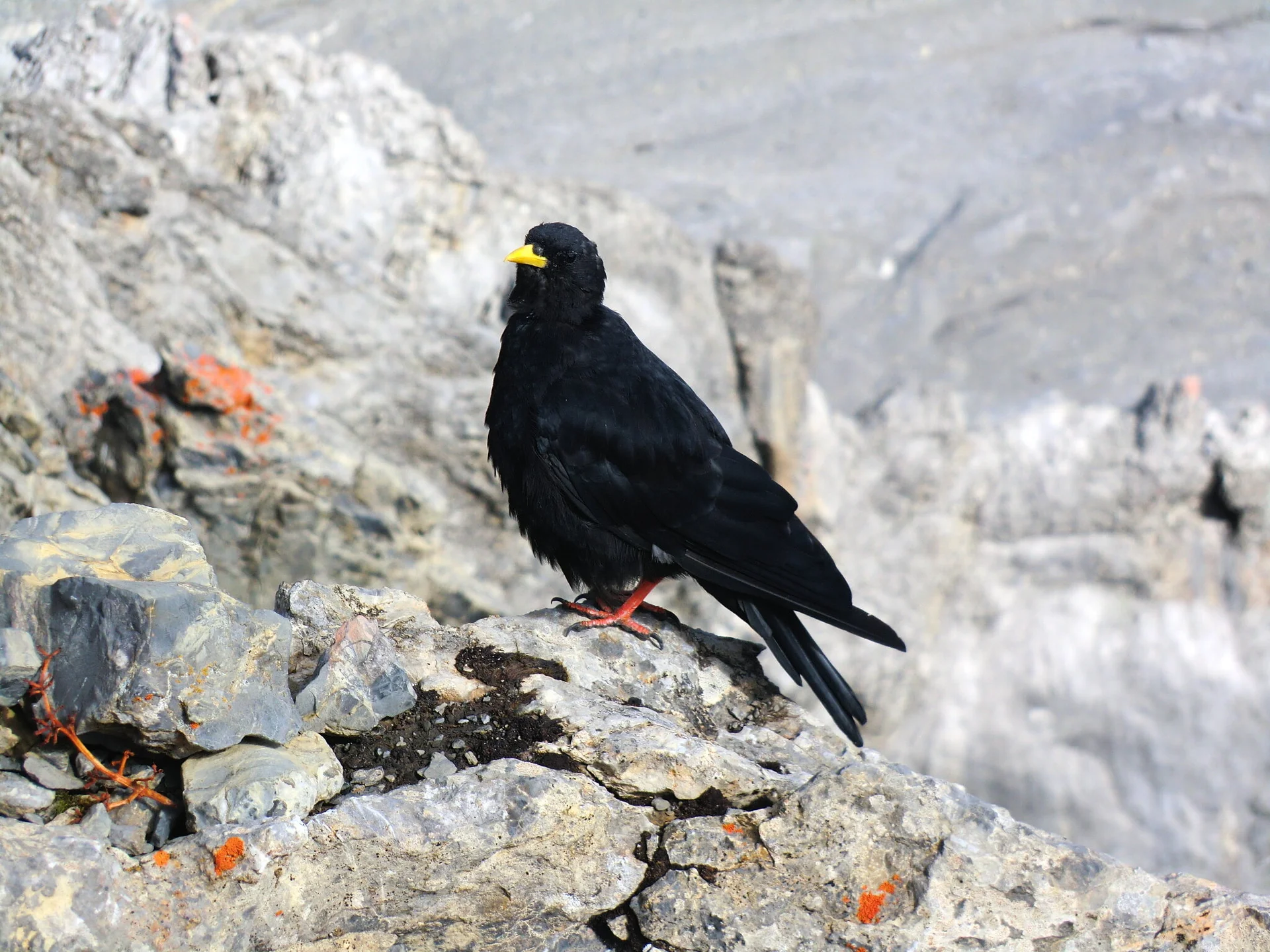 Rätikon | © Rätikon