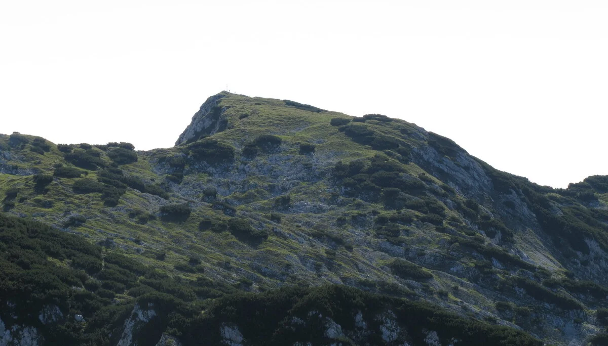 Zahmen Kaiser | © Zahmen Kaiser