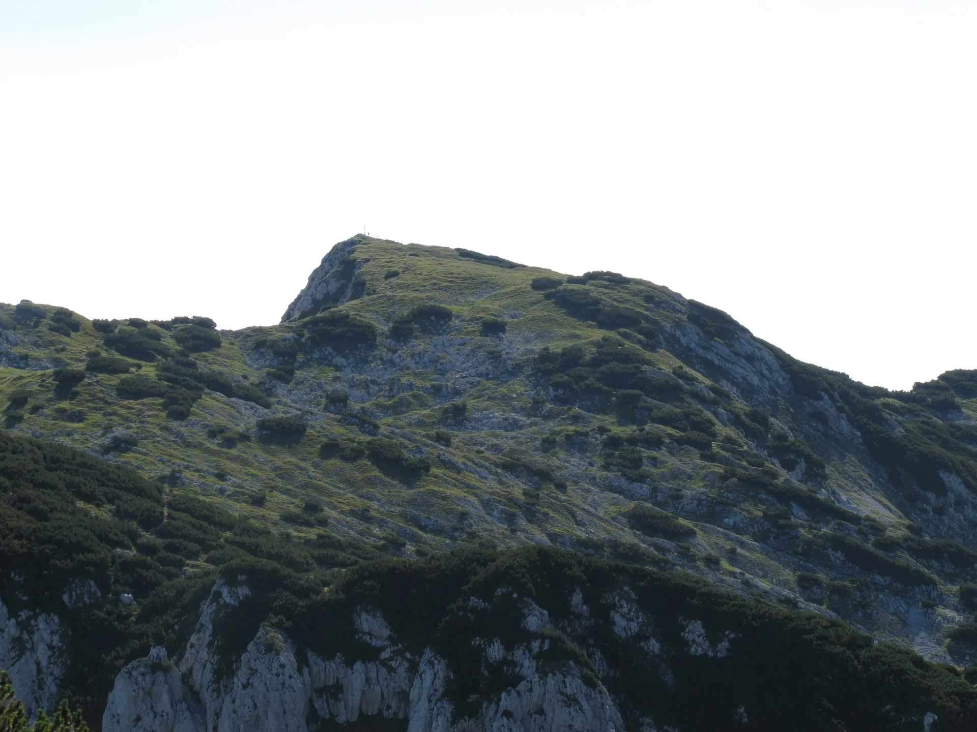 Zahmen Kaiser | © Zahmen Kaiser