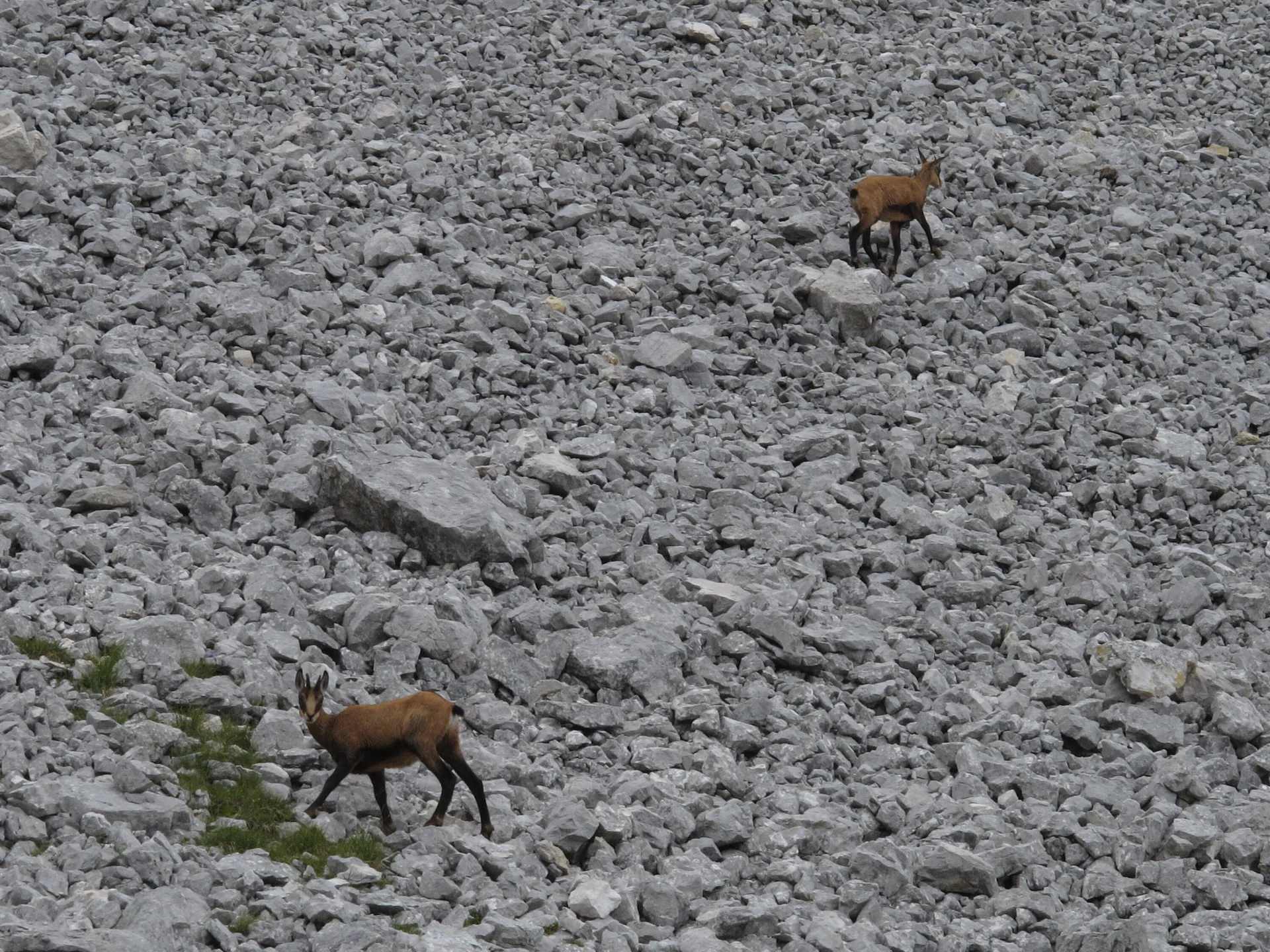 Zahmen Kaiser | © Zahmen Kaiser