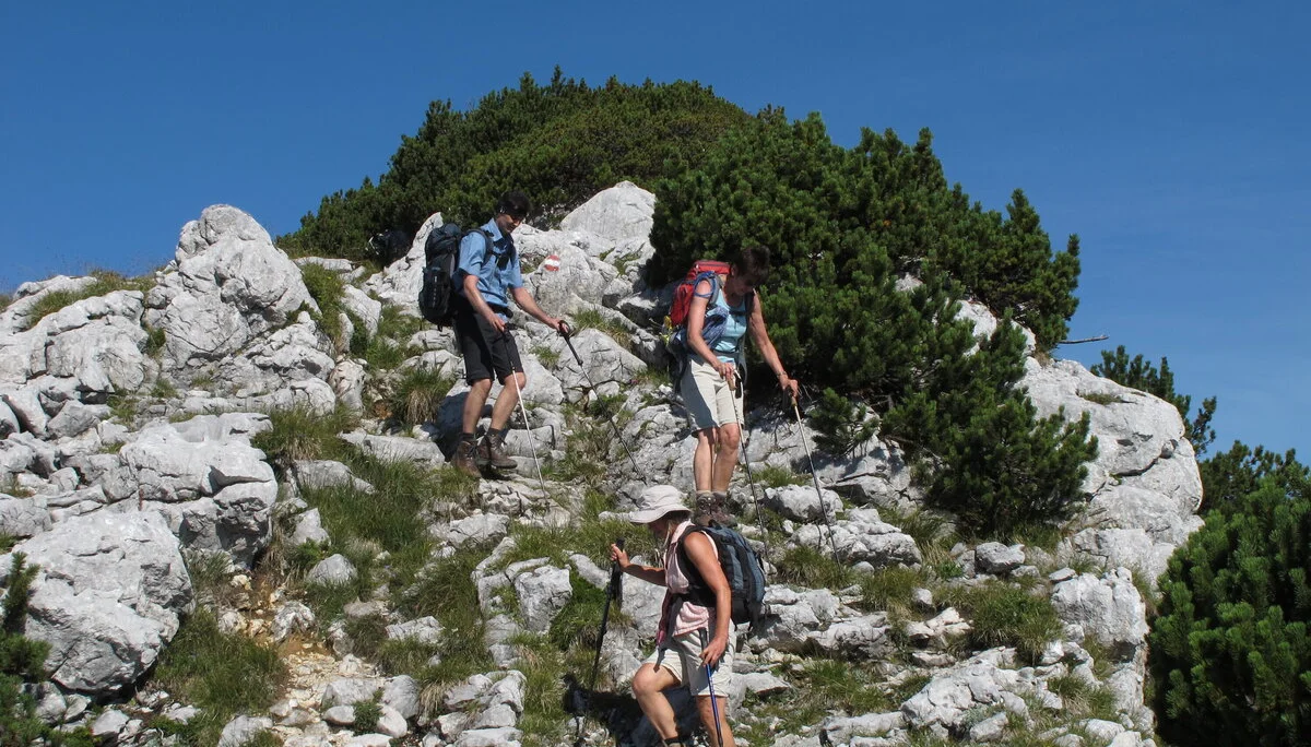 Zahmen Kaiser | © Zahmen Kaiser