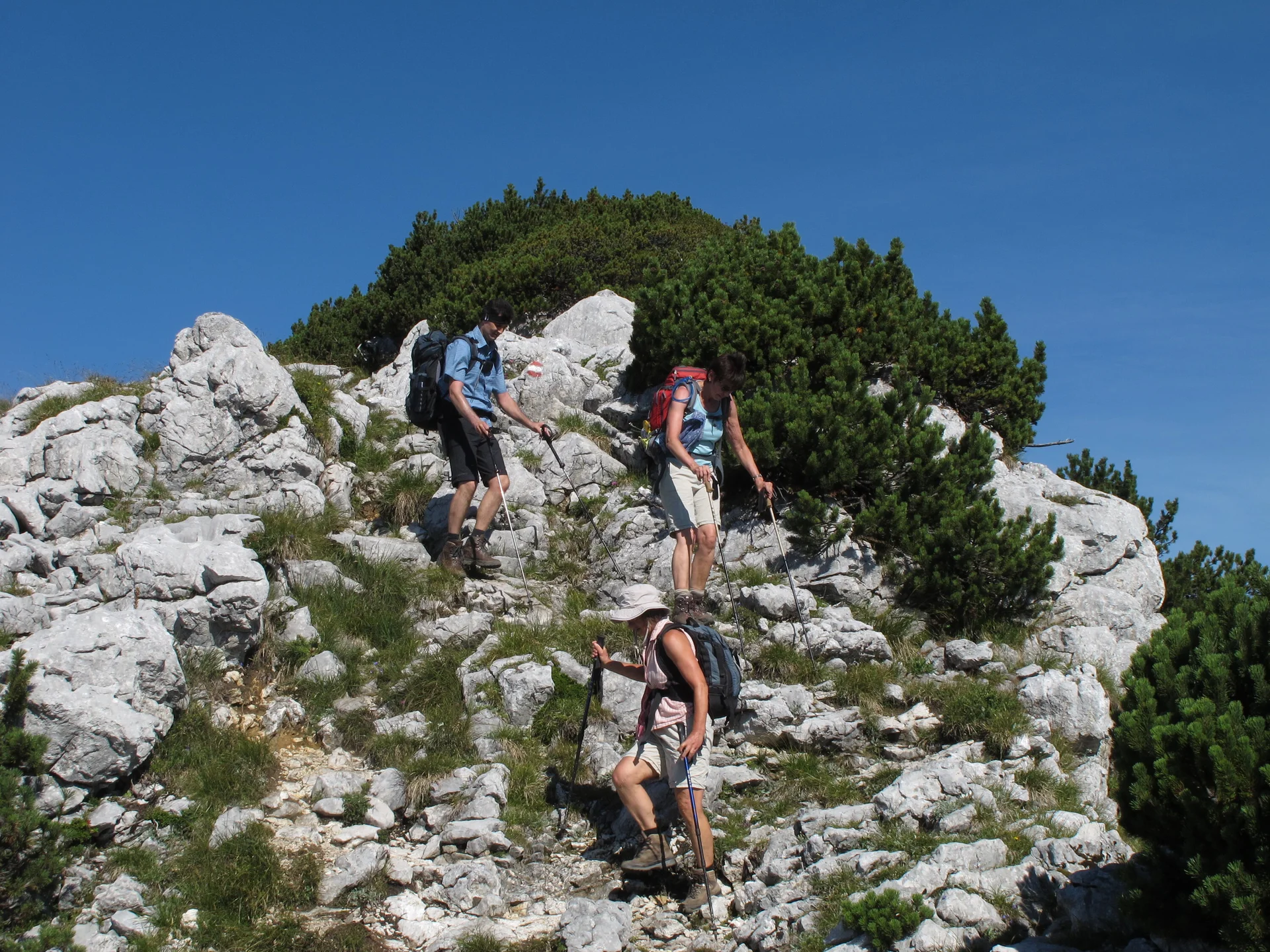 Zahmen Kaiser | © Zahmen Kaiser