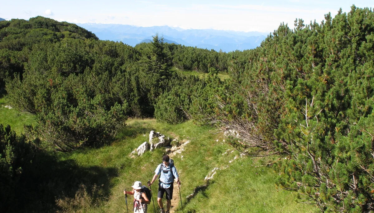 Zahmen Kaiser | © Zahmen Kaiser