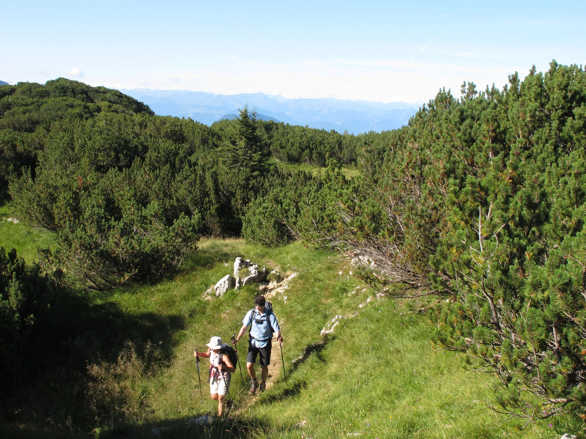 Zahmen Kaiser | © Zahmen Kaiser