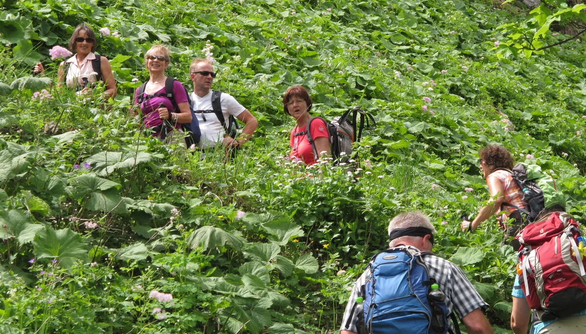 Hochgern | © Hochgern