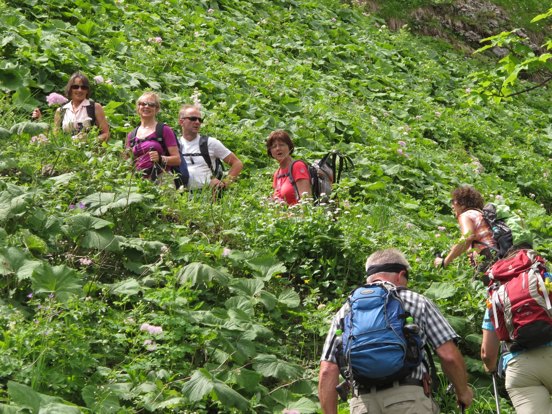 Hochgern | © Hochgern