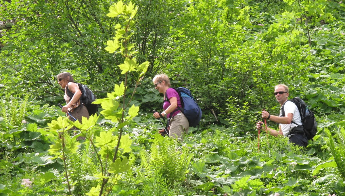 Hochgern | © Hochgern
