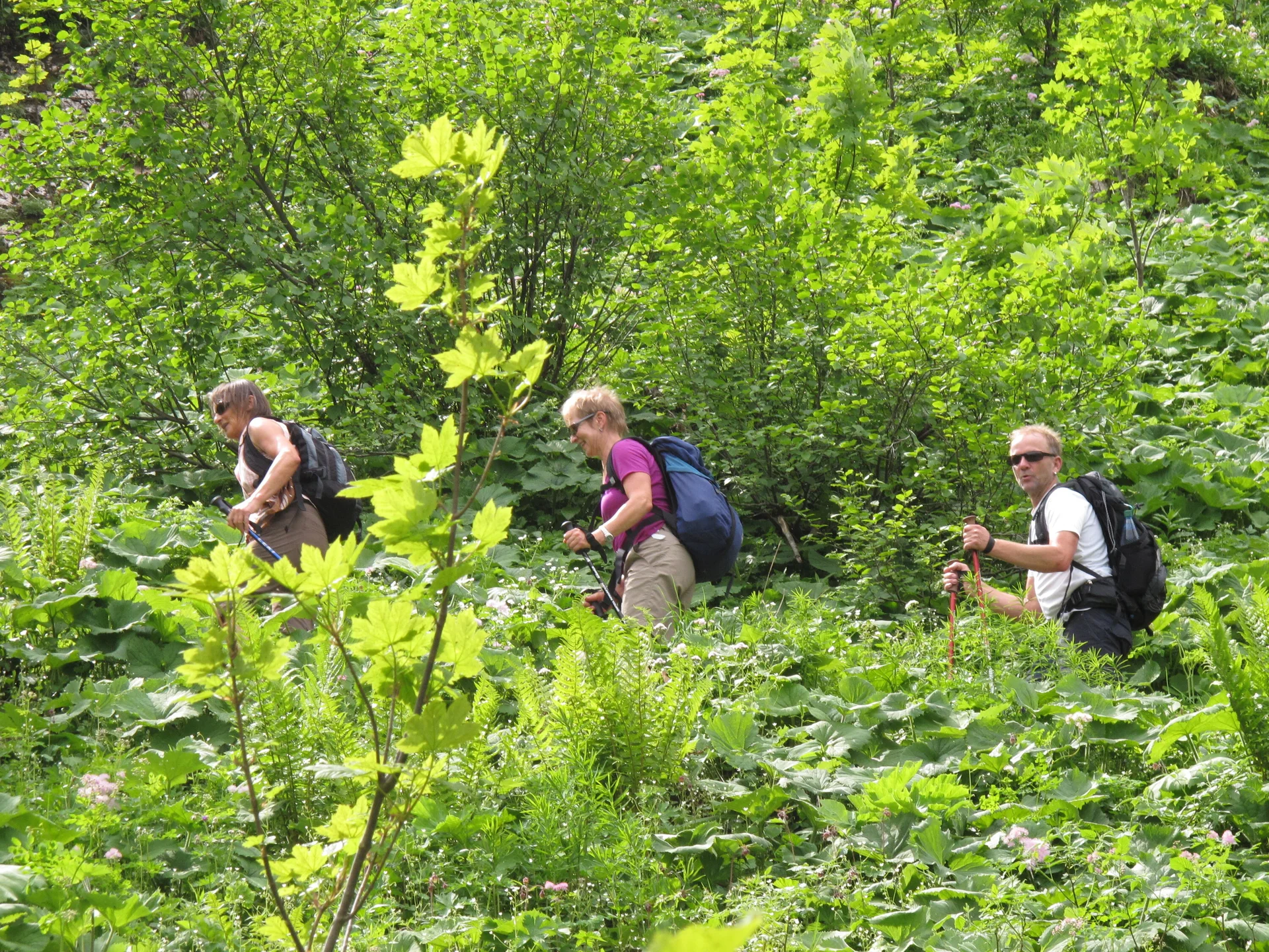 Hochgern | © Hochgern