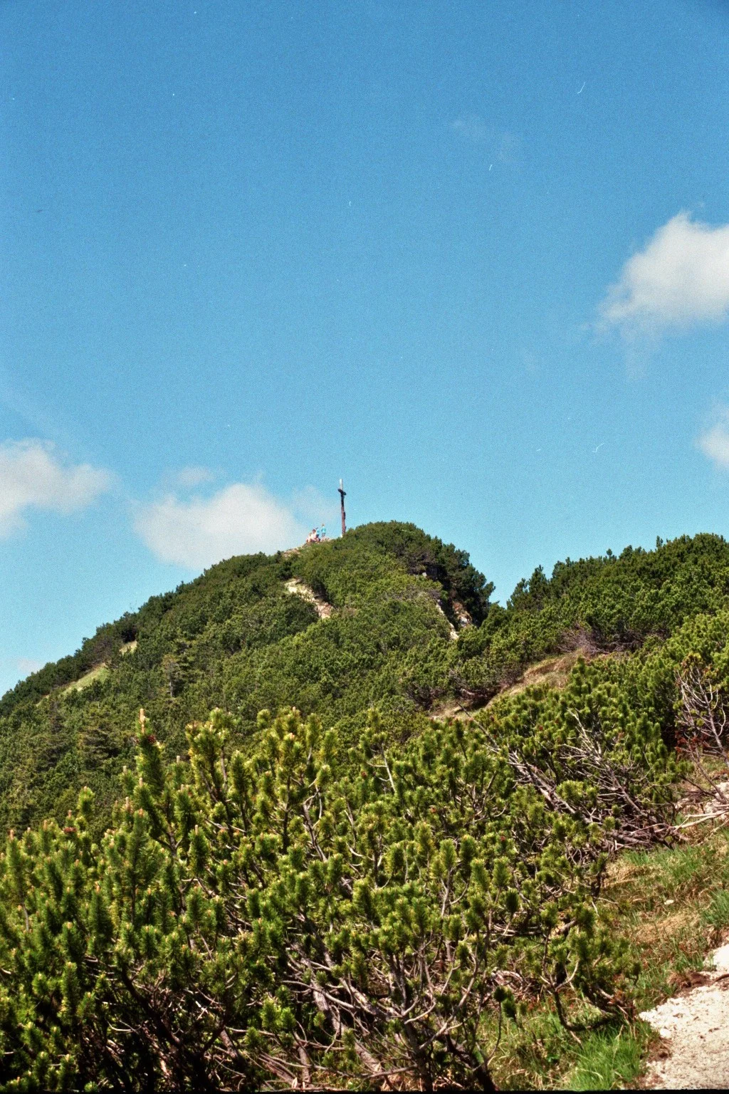 Schinder | © Schinder