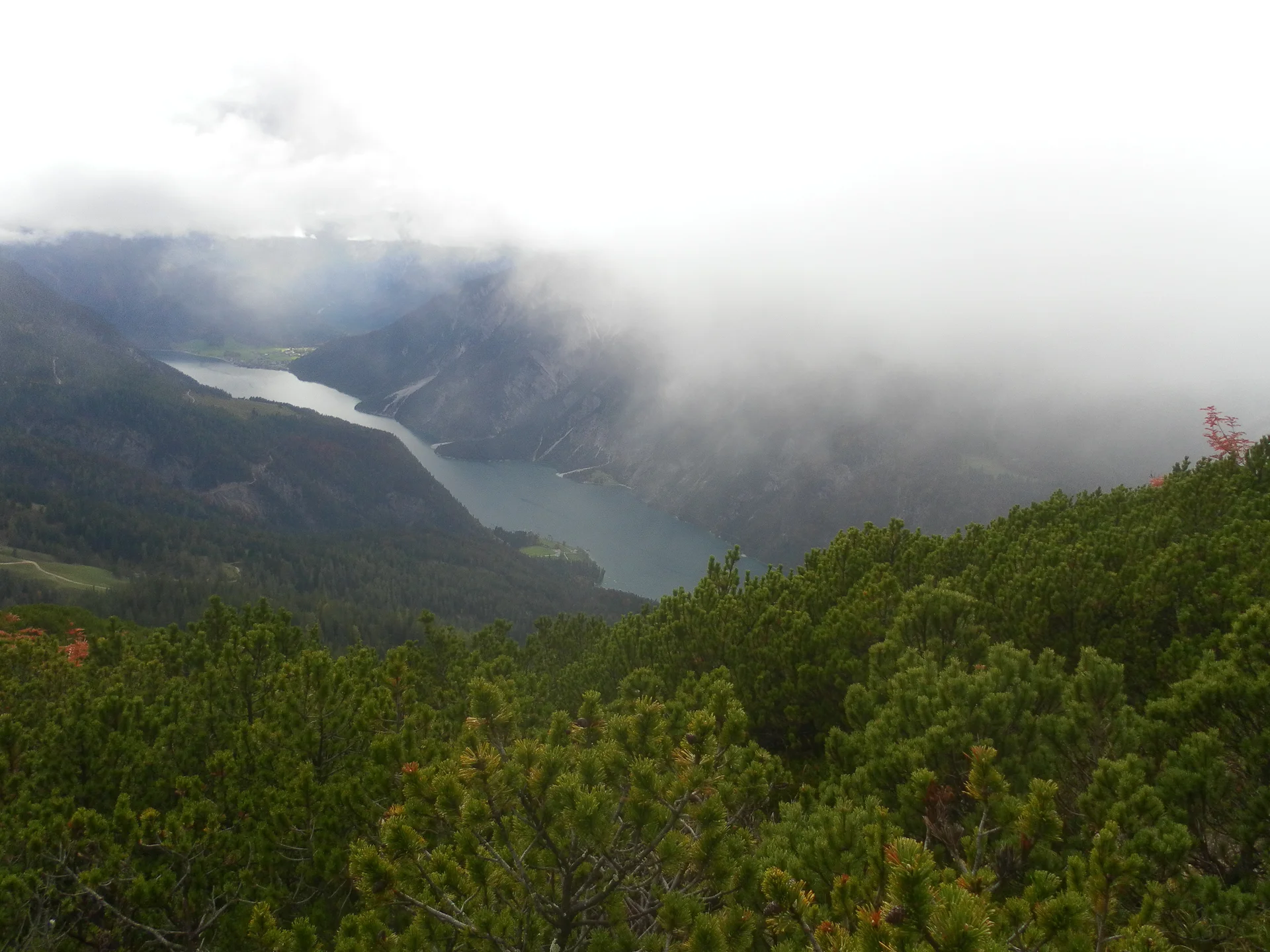 Unnütz | © Unnütz