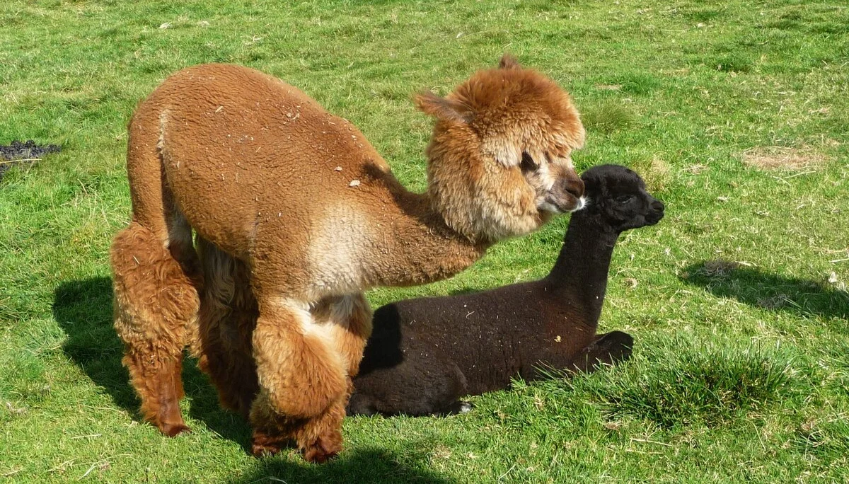 Mitarbeiter | © Mitarbeiter