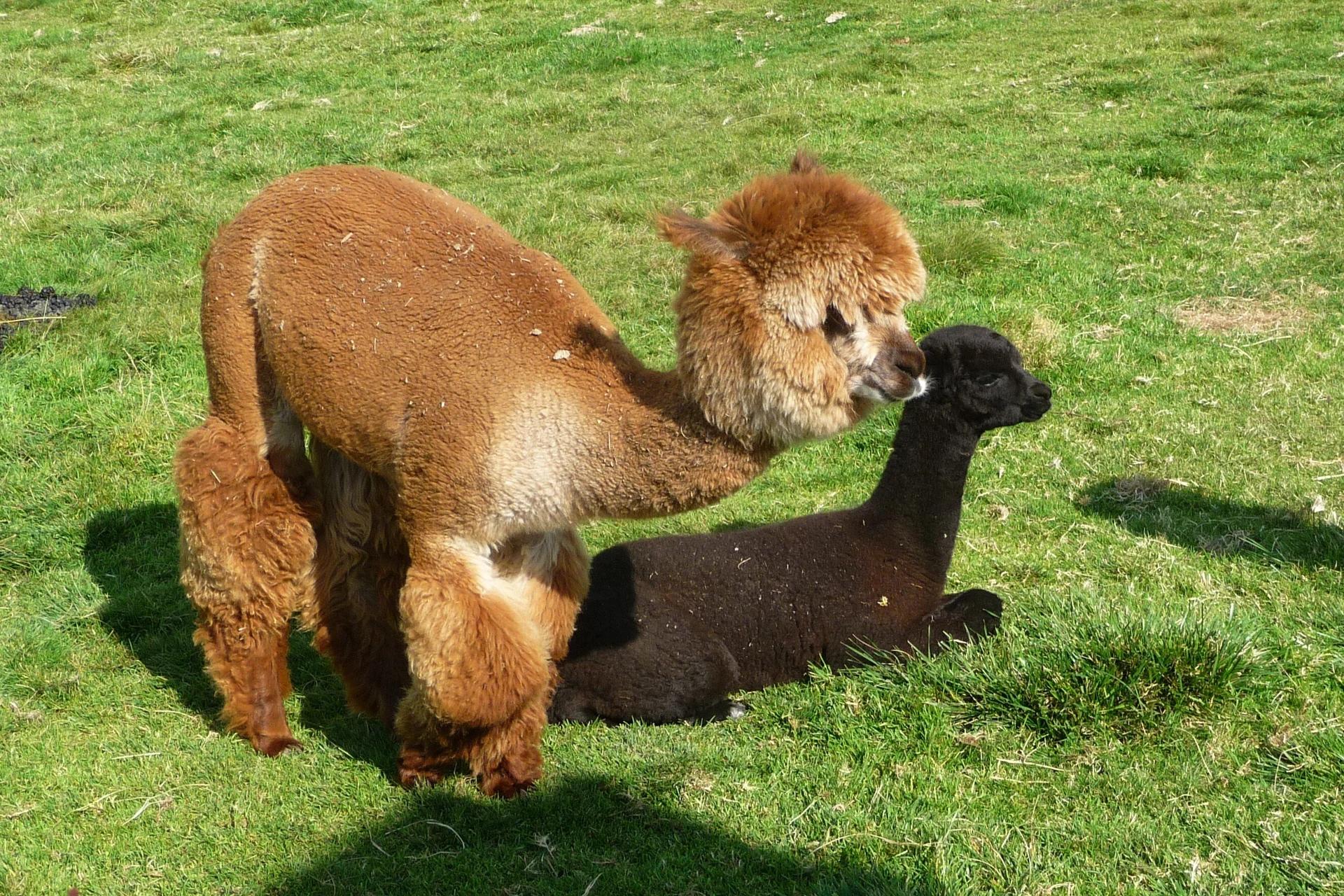 Mitarbeiter | © Mitarbeiter