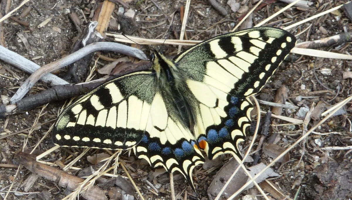 Mitarbeiter | © Mitarbeiter